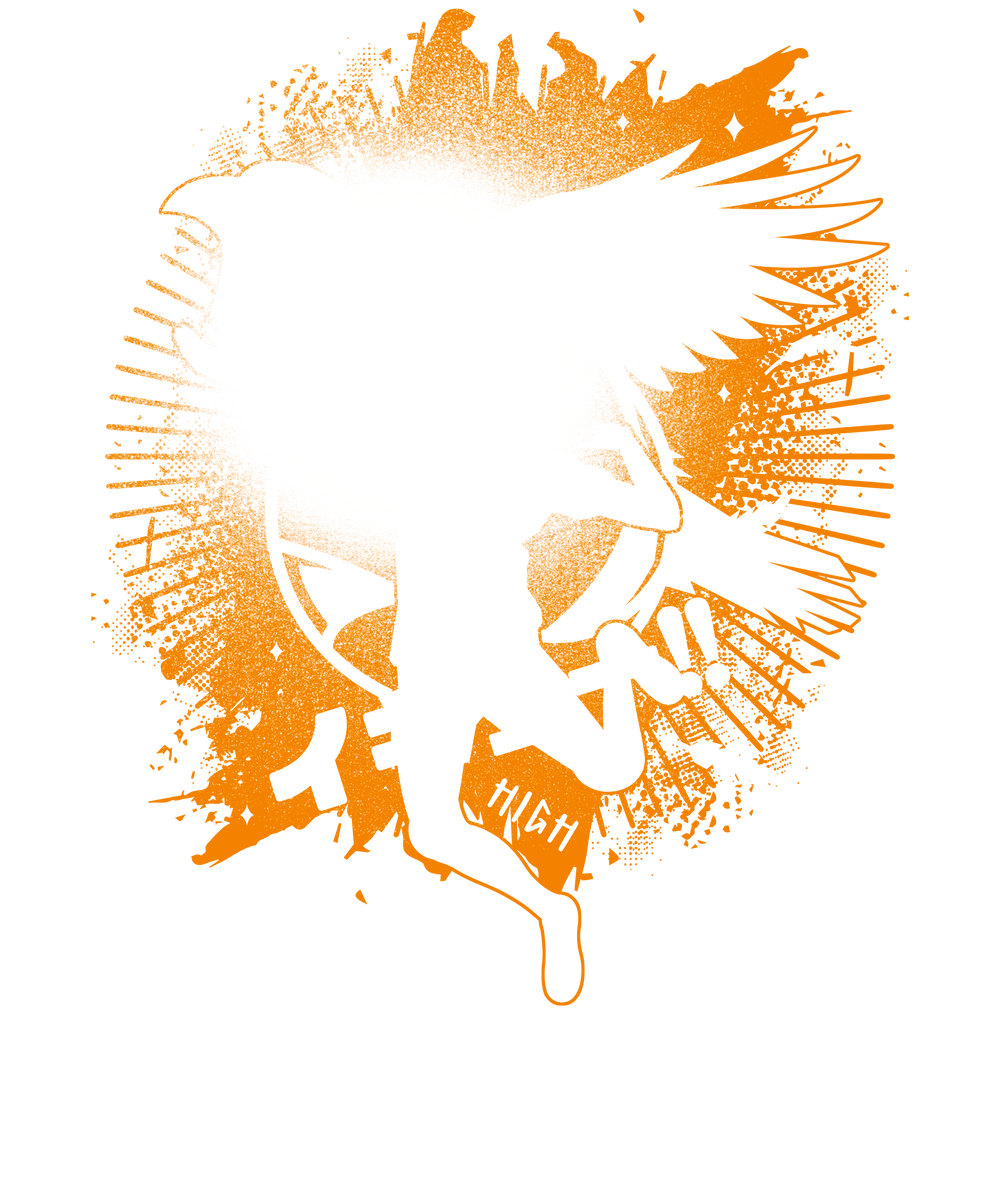 Karasuno Fly High