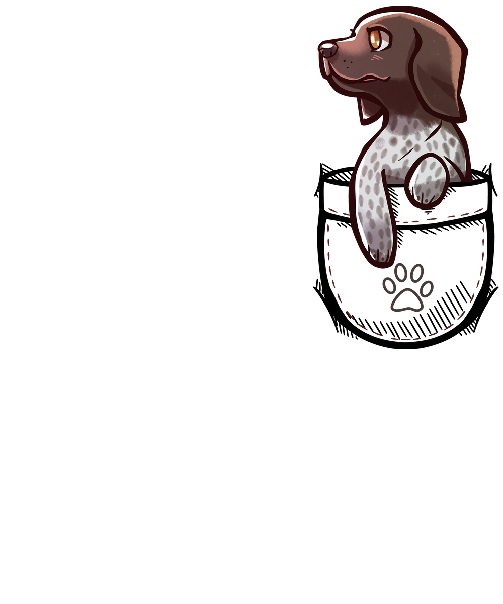 Pocket German Shorthair Pointer Dog