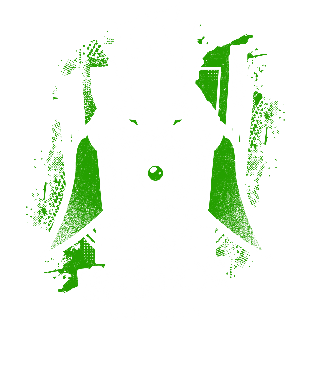 Shield Of Naofumi