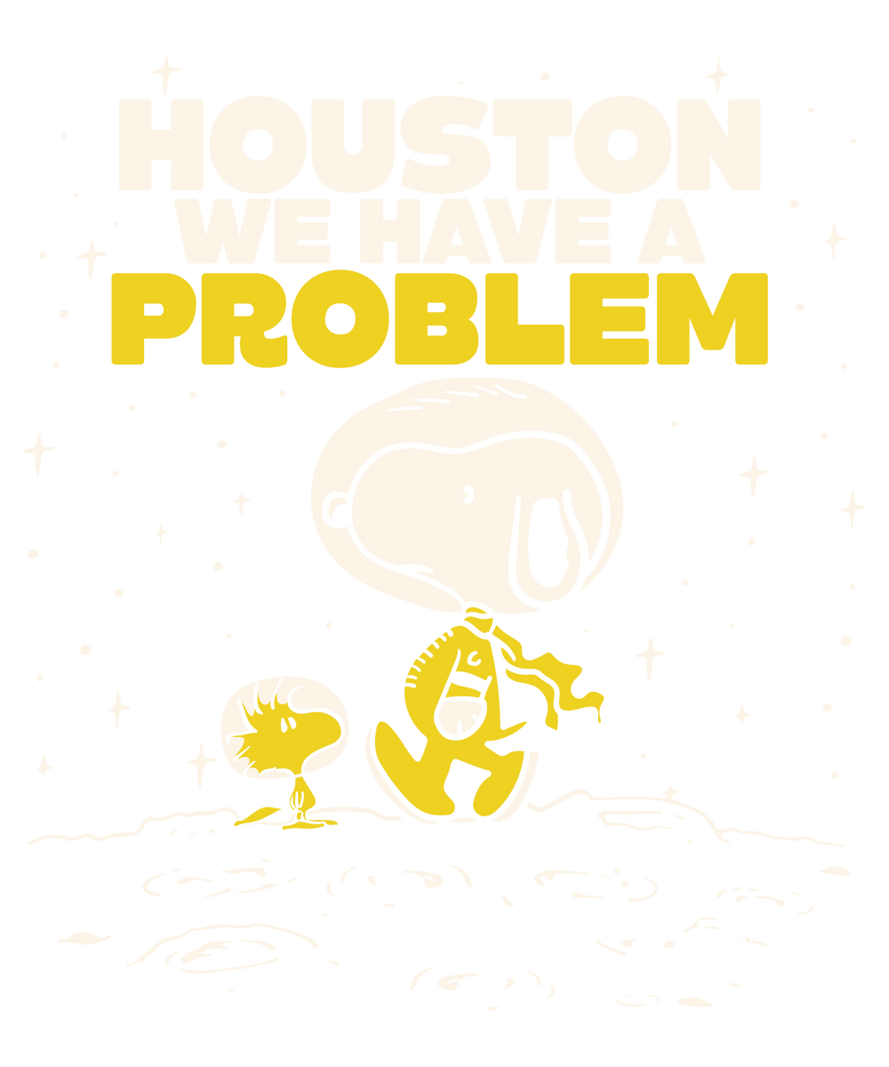Houston we have a problem