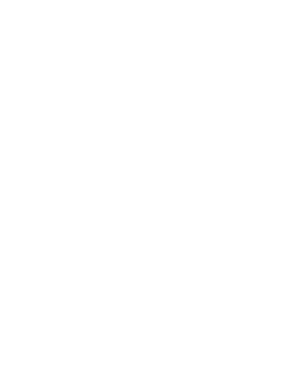 Spirit Animals