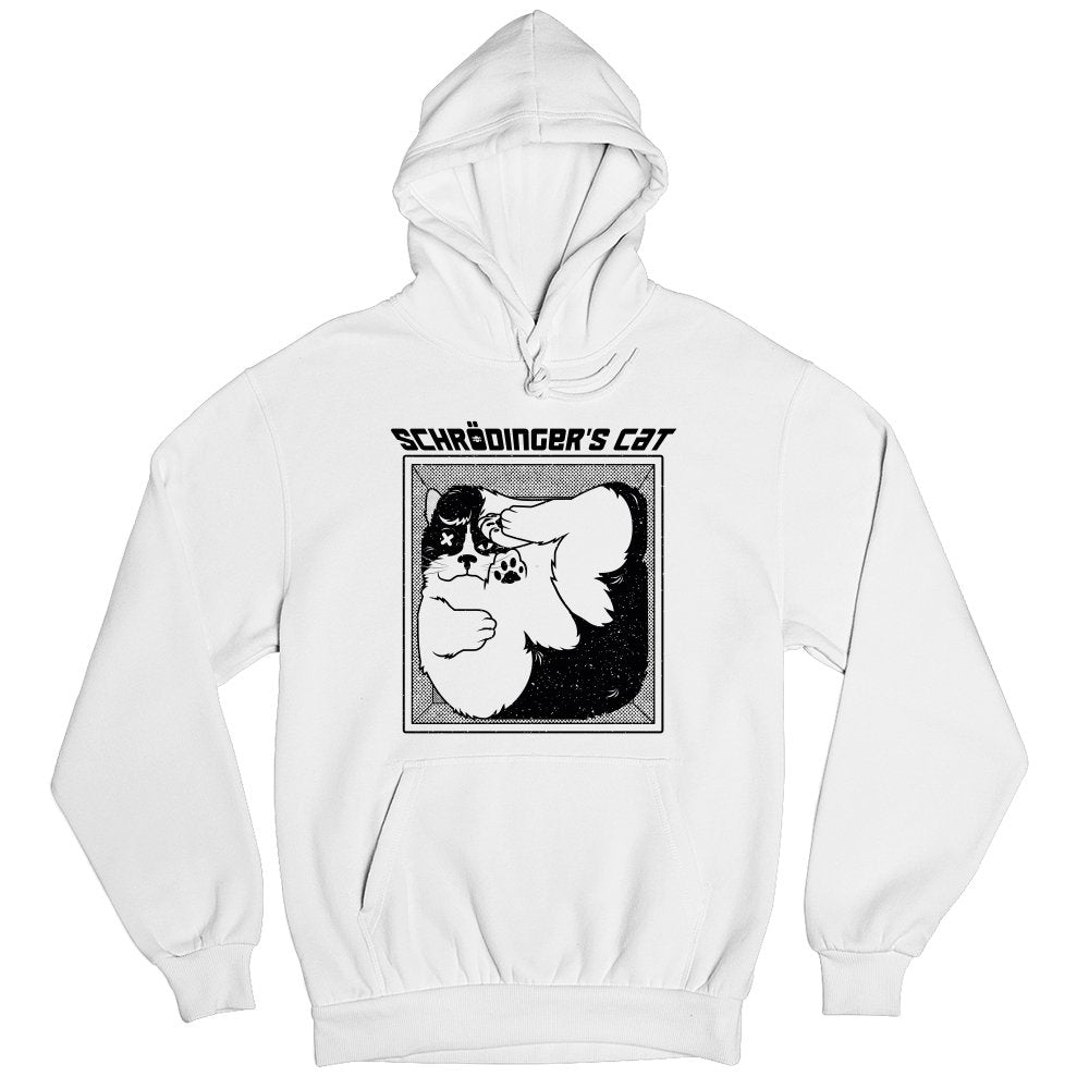 Schrodinger s cat