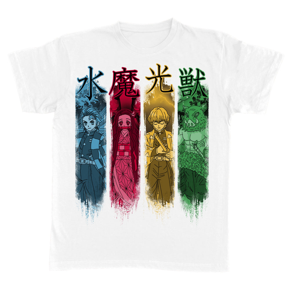 Team DS