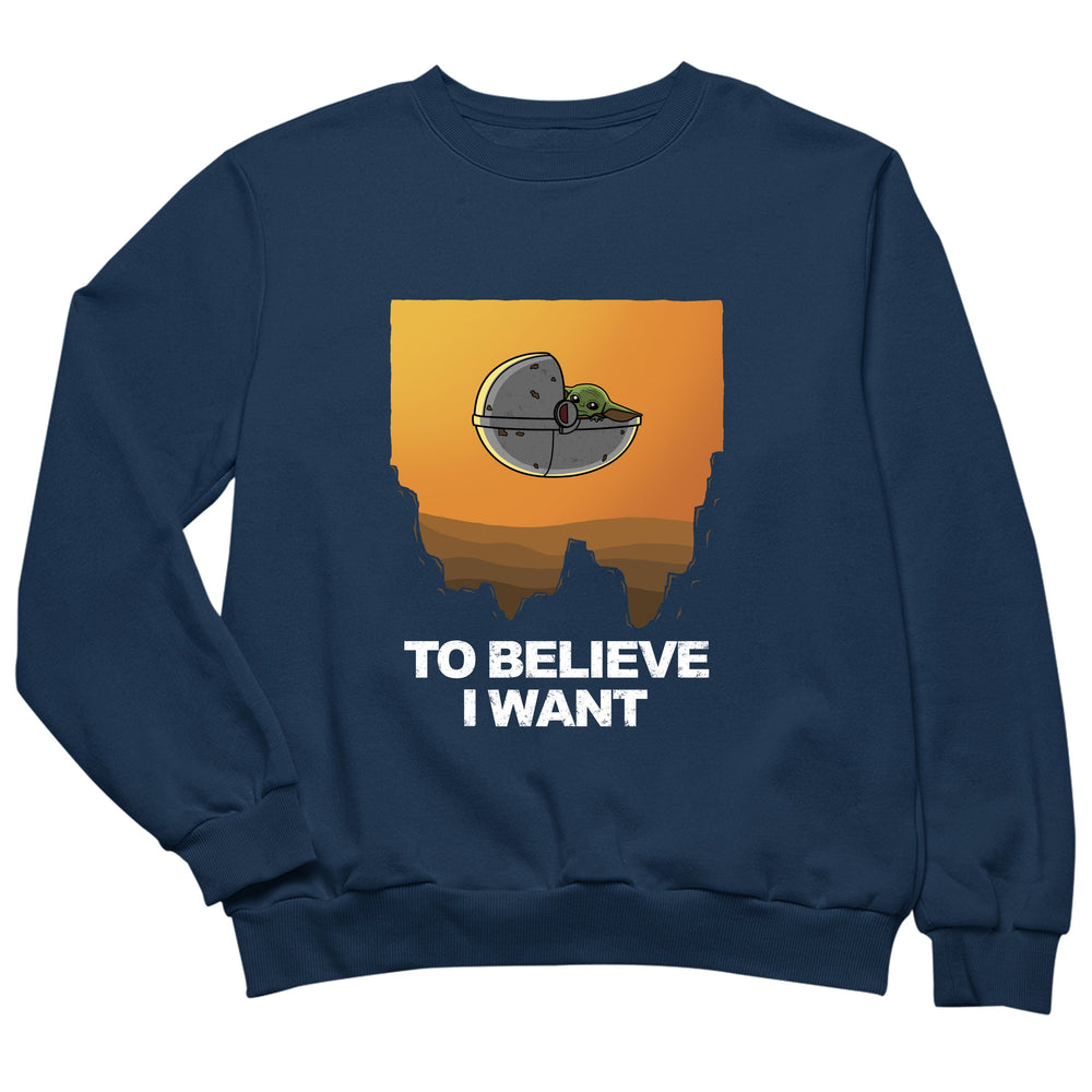 to-believe-i-want