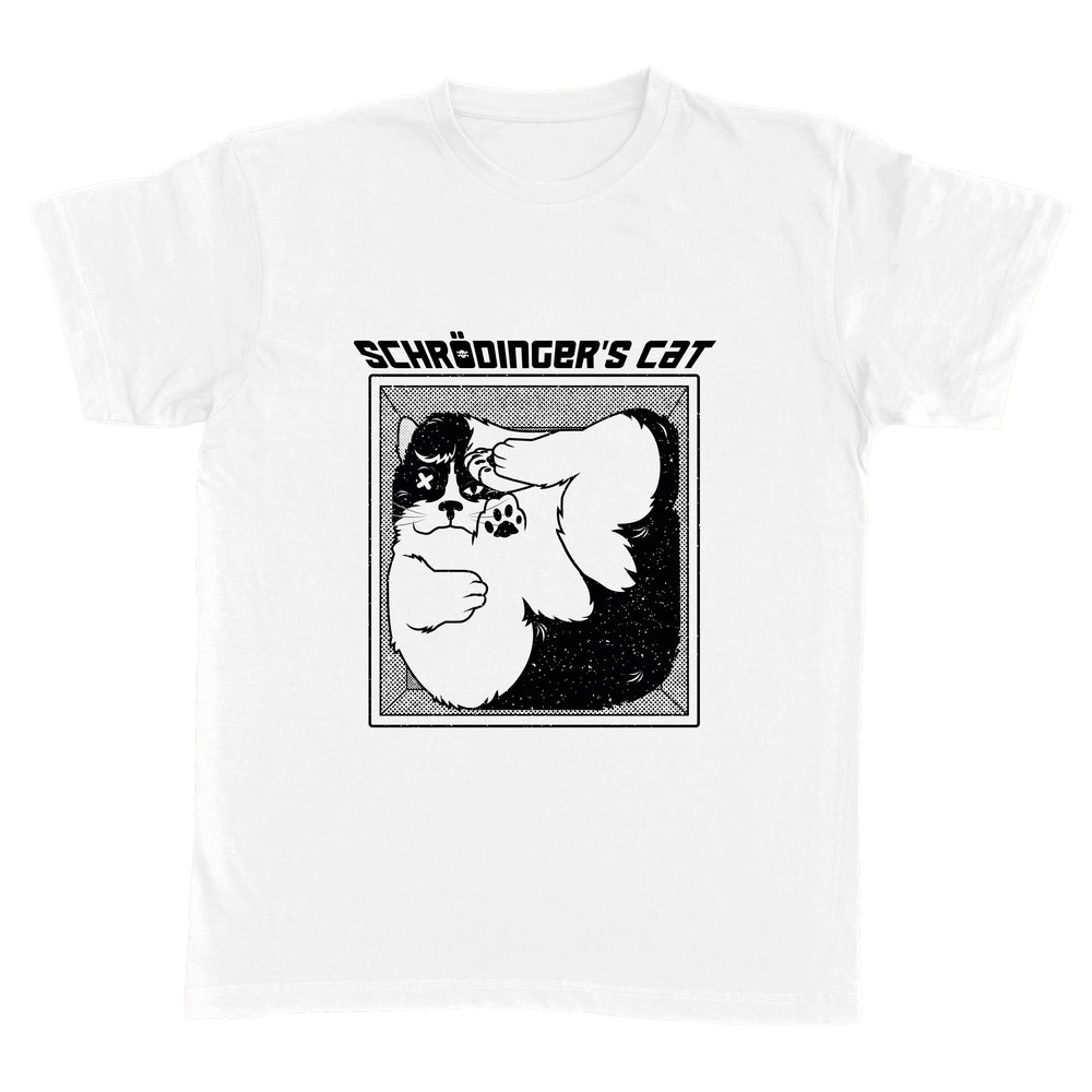 Schrodinger s cat