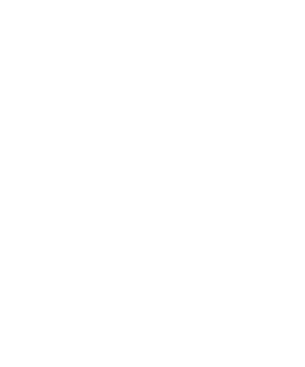 Anarchy Reigns