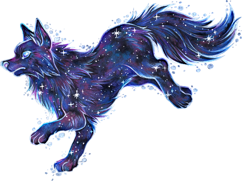 Cool Galaxy Fox Wolf Galaxy Animal Zodiac Sign