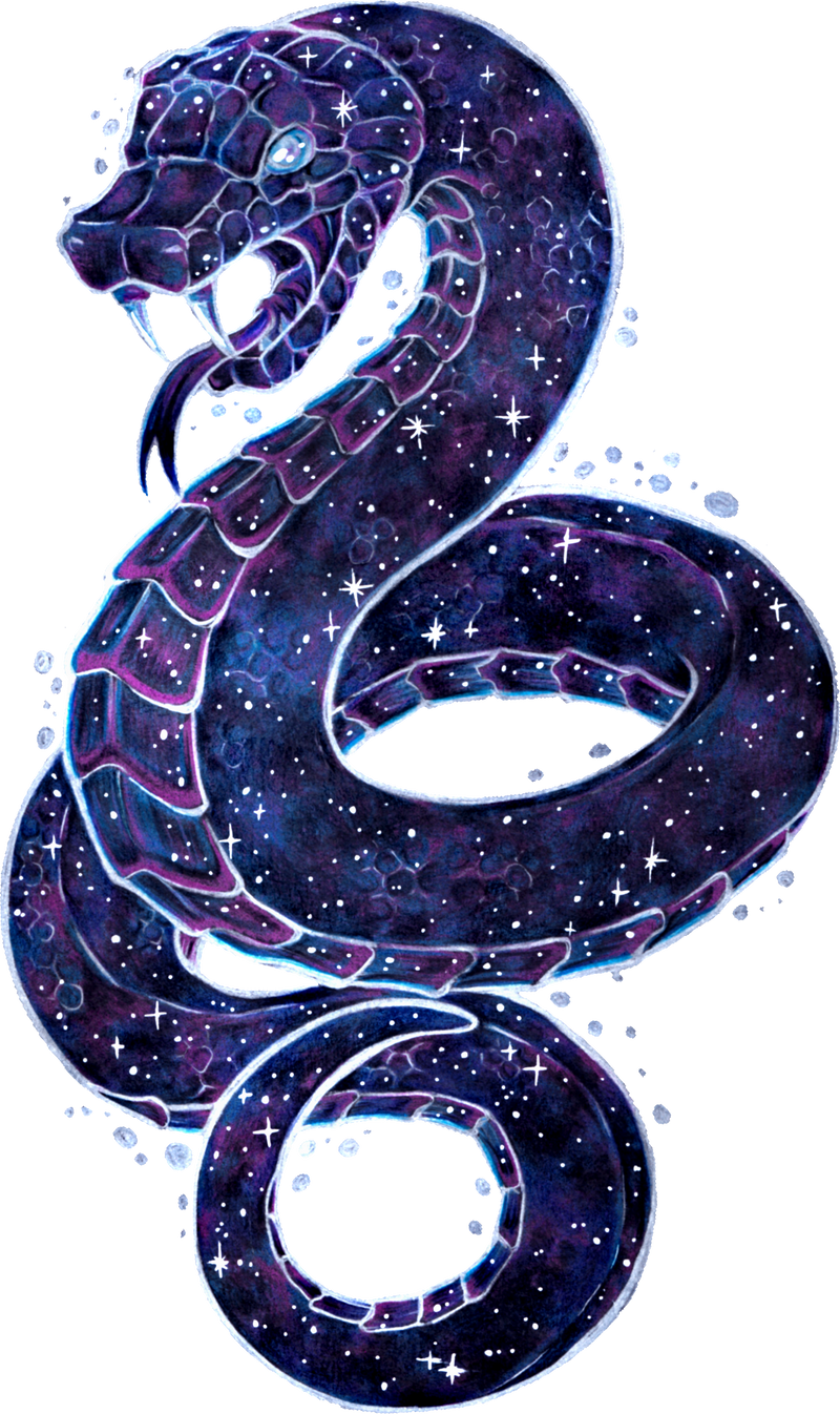 Cool Galaxy Change Reptile Galaxy Animal Zodiac Sign
