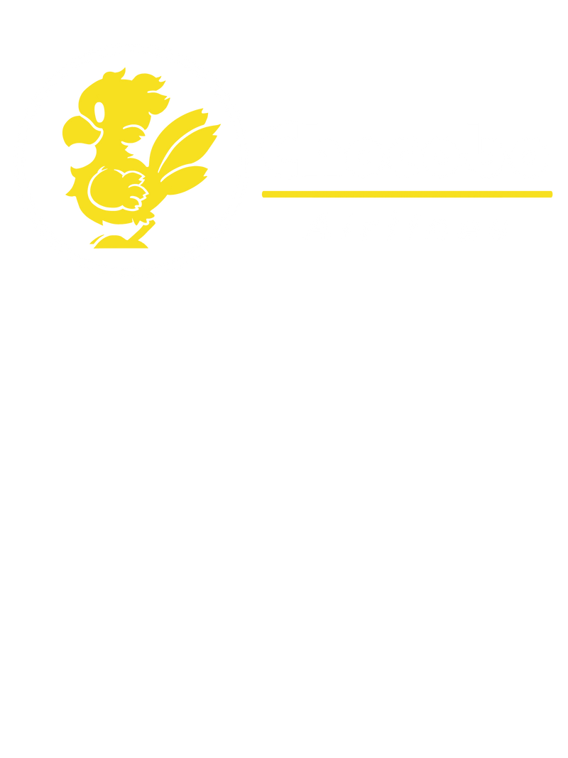 Chocobo Airlines