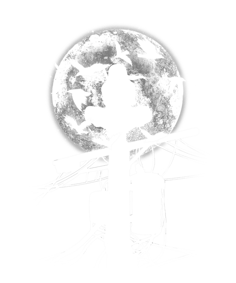 Moonlight Fateful Night