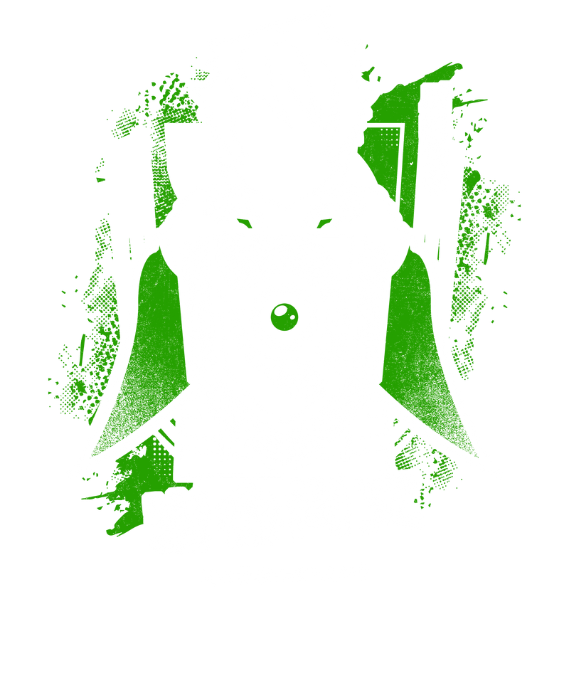 Shield Of Naofumi
