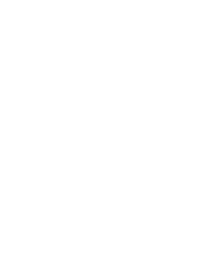 Shinra inc