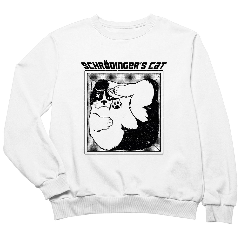 Schrodinger s cat
