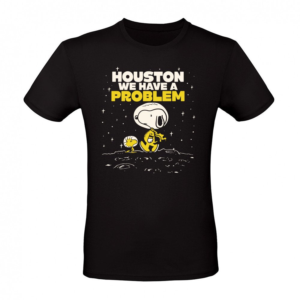 Houston we have a problem